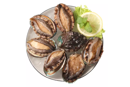 Abalone Half Shell 半壳鲍鱼 500GM（VIP会员价：RM23.90）